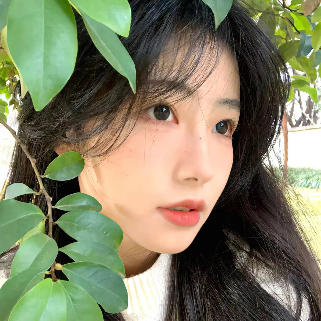 疯狂的豆子