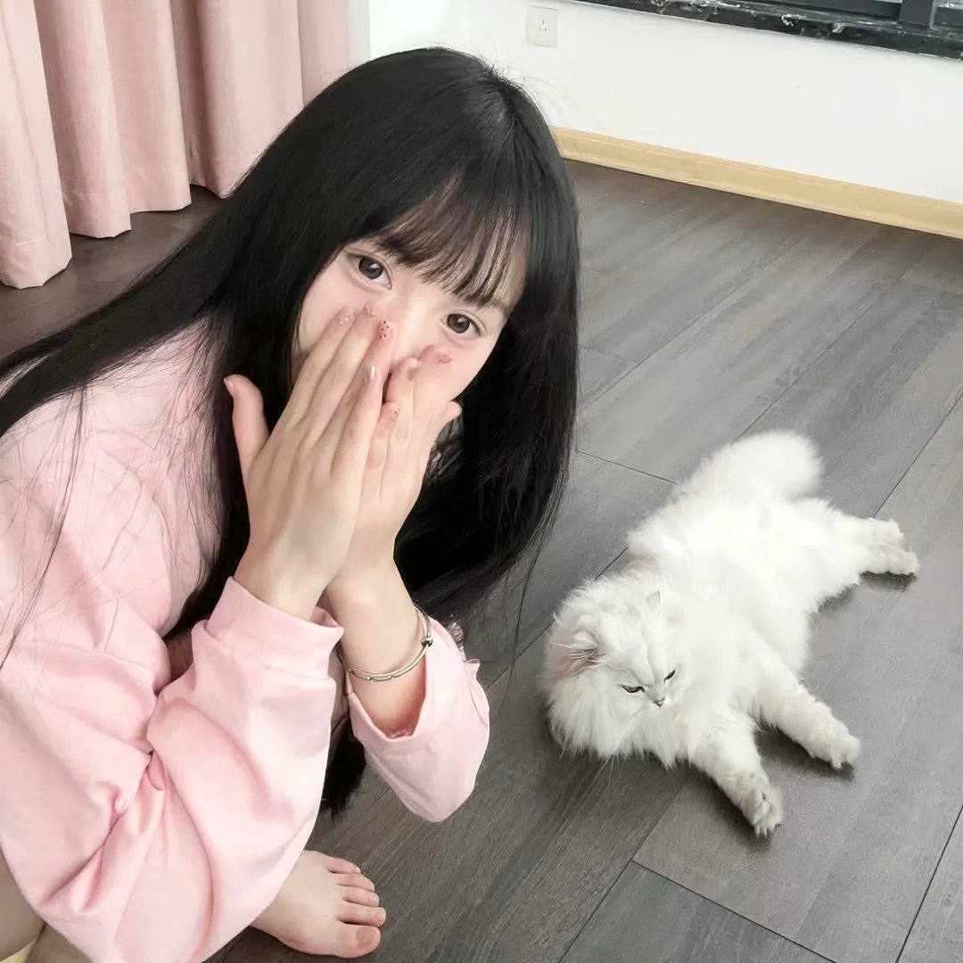 天才玩偶 日语版